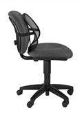 Ergonomic Accessories