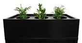Planter Box