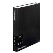 ColourHide 2055302J Display Book Fixed 60 Sheet Black