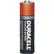 Duracell AA Alkaline Battery