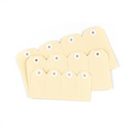 Avery 13000 Shipping Tags Size 3 Buff 96 x 48mm Pack 1000