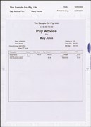 Pay Envelope A4 Self Seal SF V100PAY