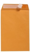 Envelope 196969 305 x 255mm Peel  Seal Pocket Kraft Box 250 611322