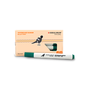 Bibbulmun Whiteboard Marker Bullet Green Box of 10 925700504