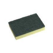 Oates Heavy Duty Scour Sponge Pack 10